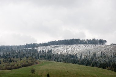 Misty sabah Dağ Manzaralı
