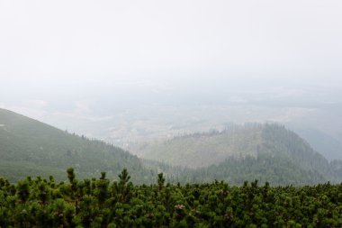 Misty sabah Dağ Manzaralı