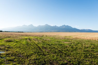 Misty sabah Dağ Manzaralı