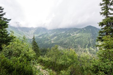 Misty sabah Dağ Manzaralı