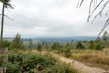 Misty sabah Dağ Manzaralı