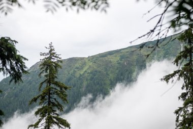 Misty sabah Dağ Manzaralı