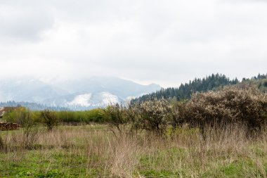 Misty sabah Dağ Manzaralı