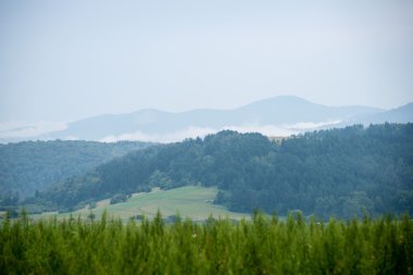 Misty sabah Dağ Manzaralı