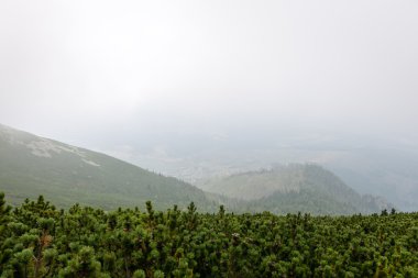 Misty sabah Dağ Manzaralı