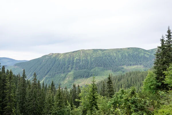 Matin brumeux vue sur la montagne — Photo