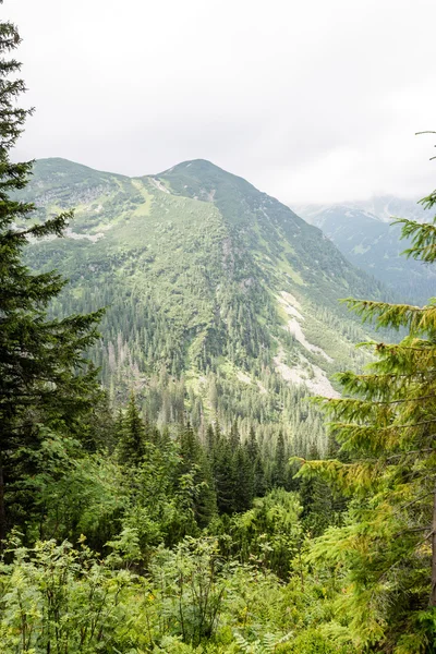 Misty mattina vista sulle montagne — Foto Stock