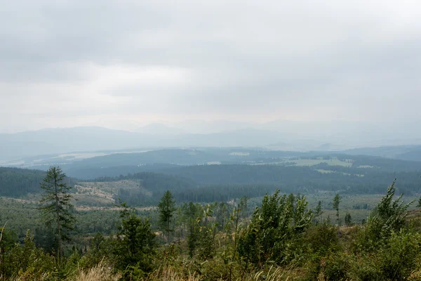 Misty ranní mountain view — Stock fotografie