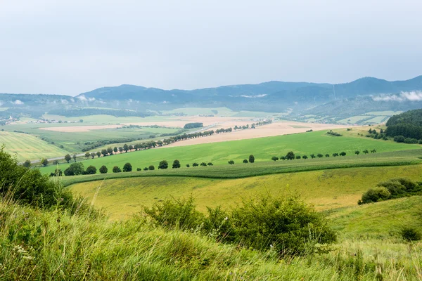 Matin brumeux vue sur la montagne — Photo