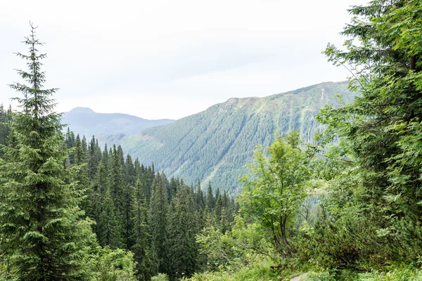 Misty mattina vista sulle montagne — Foto Stock