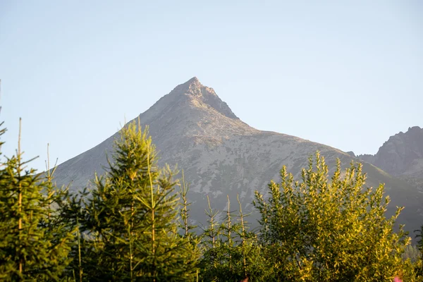 Misty mañana vista a la montaña — Foto de Stock
