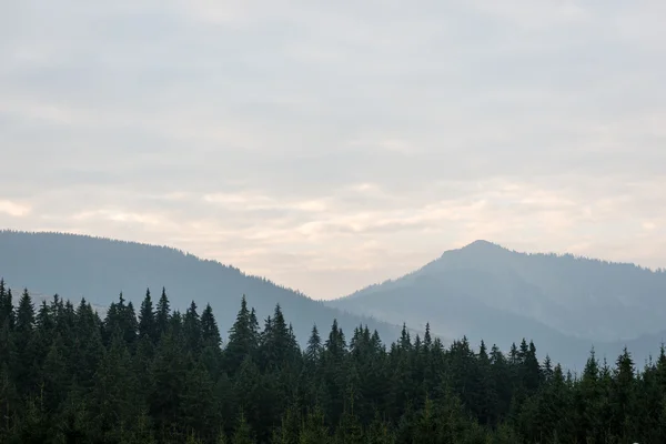 Misty sabah Dağ Manzaralı — Stok fotoğraf
