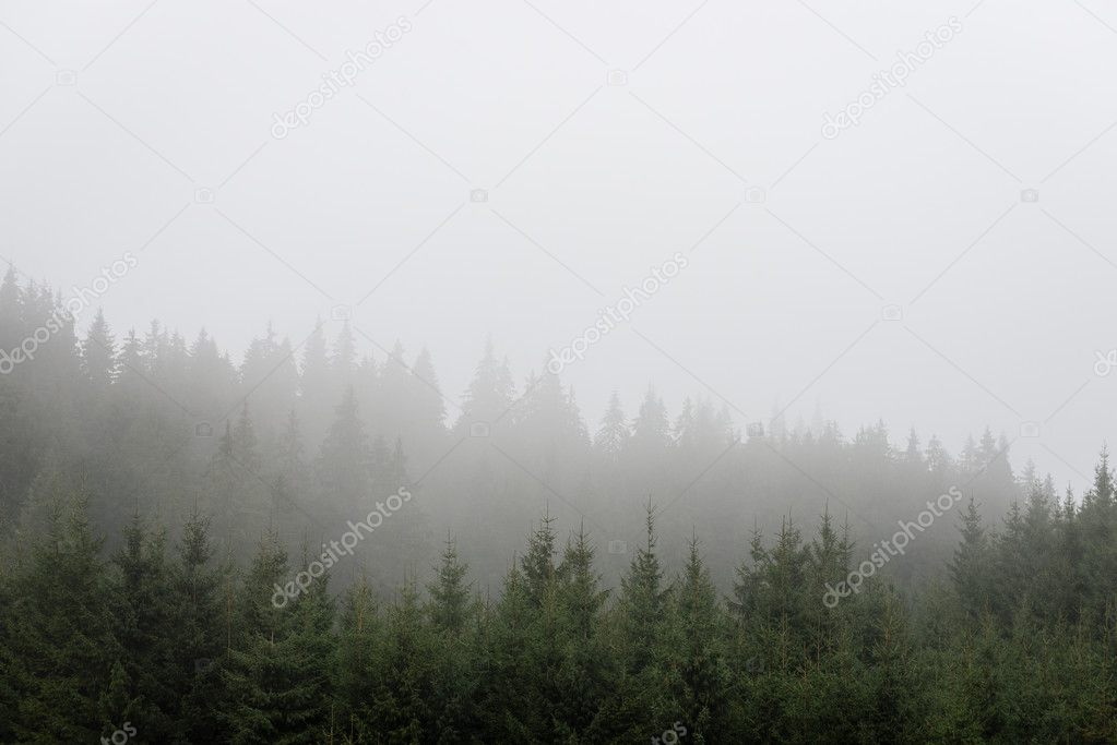 Misty morning mountain view