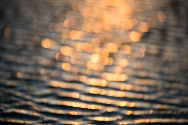 bulanıklık doğa sonbahar renkleri