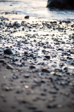 bulanıklık doğa sonbahar renkleri