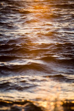 bulanıklık doğa sonbahar renkleri