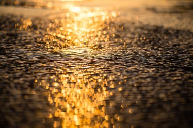 bulanıklık doğa sonbahar renkleri