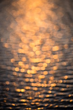 bulanıklık doğa sonbahar renkleri