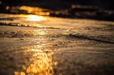bulanıklık doğa sonbahar renkleri