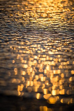 bulanıklık doğa sonbahar renkleri