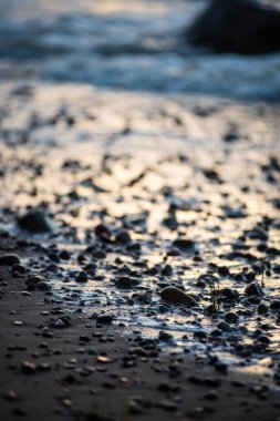 bulanıklık doğa sonbahar renkleri