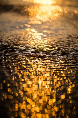 bulanıklık doğa sonbahar renkleri