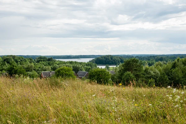 Осінній культивується поля — стокове фото