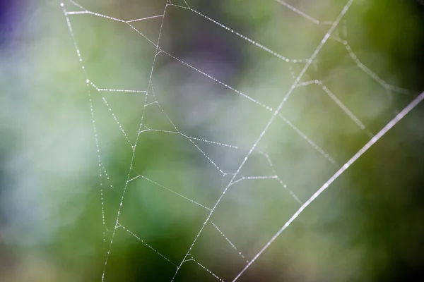 Desenfoque abstracto otoño colores de la naturaleza — Foto de Stock