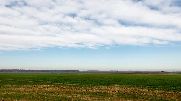 Otoño campo cultivado — Foto de Stock