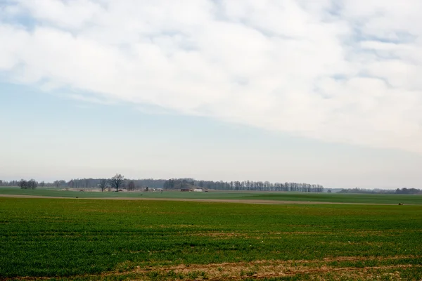 Cultivated autumn field — Stock Photo, Image