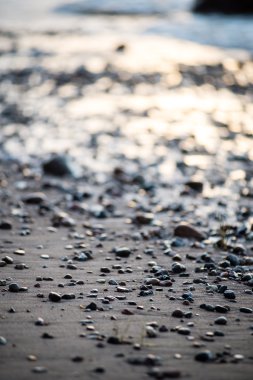 bulanıklık doğa sonbahar renkleri