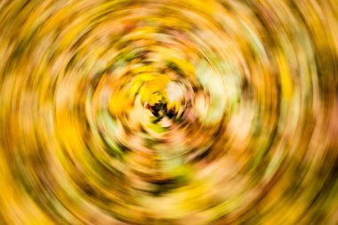 bulanıklık doğa sonbahar renkleri