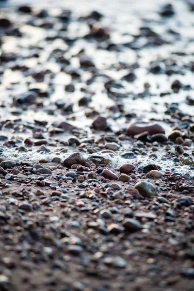 Ontgonnen najaar veld — Stockfoto