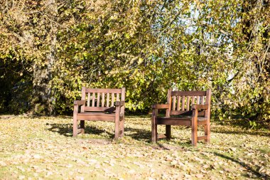 parkta Bank ile sonbahar renkli orman soyut