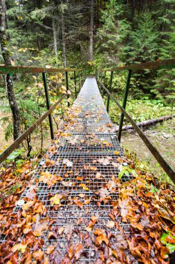 Perspektif metal asma yaya köprüsü üzerinde azalan rive