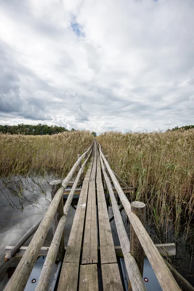 Ahşap asma yaya köprüsü bakış RIV üzerinde azalan