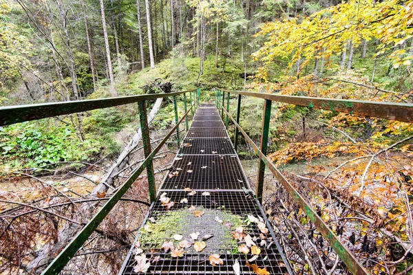 Diminishing perspective of metal suspension footbridge over rive