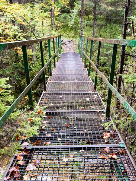 Perspektif metal asma yaya köprüsü üzerinde azalan rive