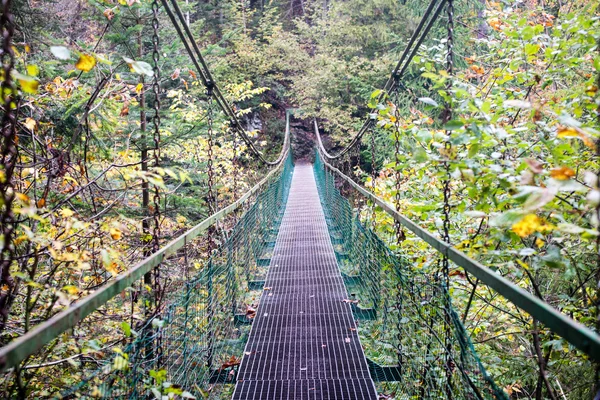 Perspektif metal asma yaya köprüsü üzerinde azalan rive
