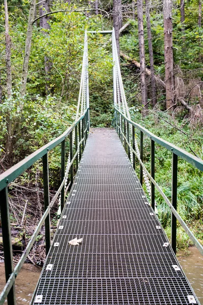 Уменьшение перспективы металлического подвесного пешеходного моста над рекой — стоковое фото