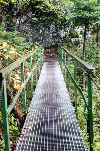 Perspektif metal asma yaya köprüsü üzerinde azalan rive