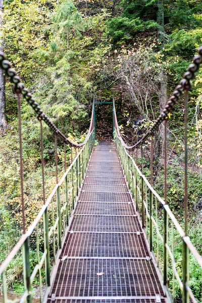 Perspectiva atenuante de pasarela colgante de metal sobre rive — Foto de Stock