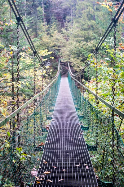 Perspektif metal asma yaya köprüsü üzerinde azalan rive