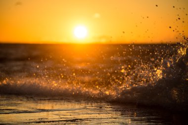wavebreaker deniz
