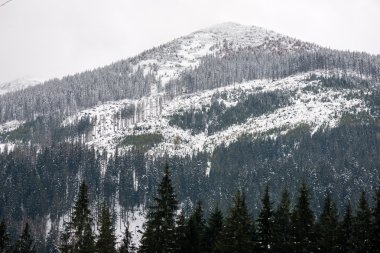 Kış karla kaplı dağ başında
