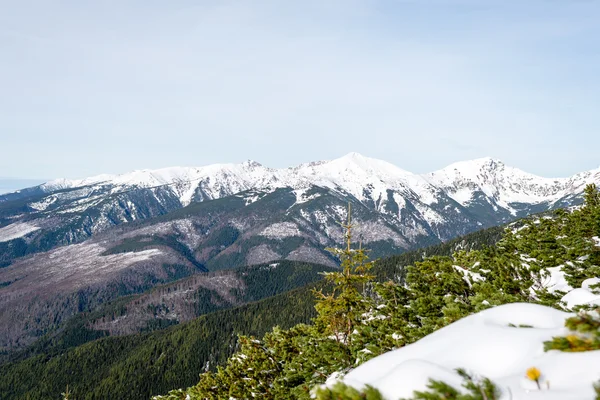 Berggipfel im Winter mit Schnee bedeckt — Stockfoto