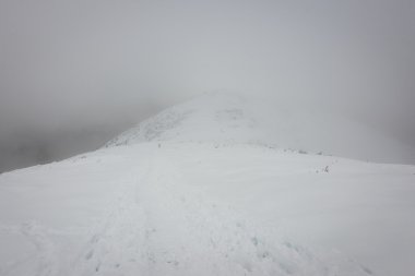 Kış karla kaplı dağ başında