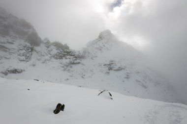 Kış karla kaplı dağ başında