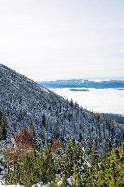 Kış karla kaplı dağ başında