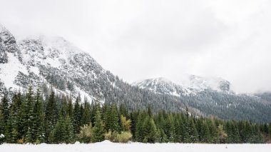 Kış karla kaplı dağ başında